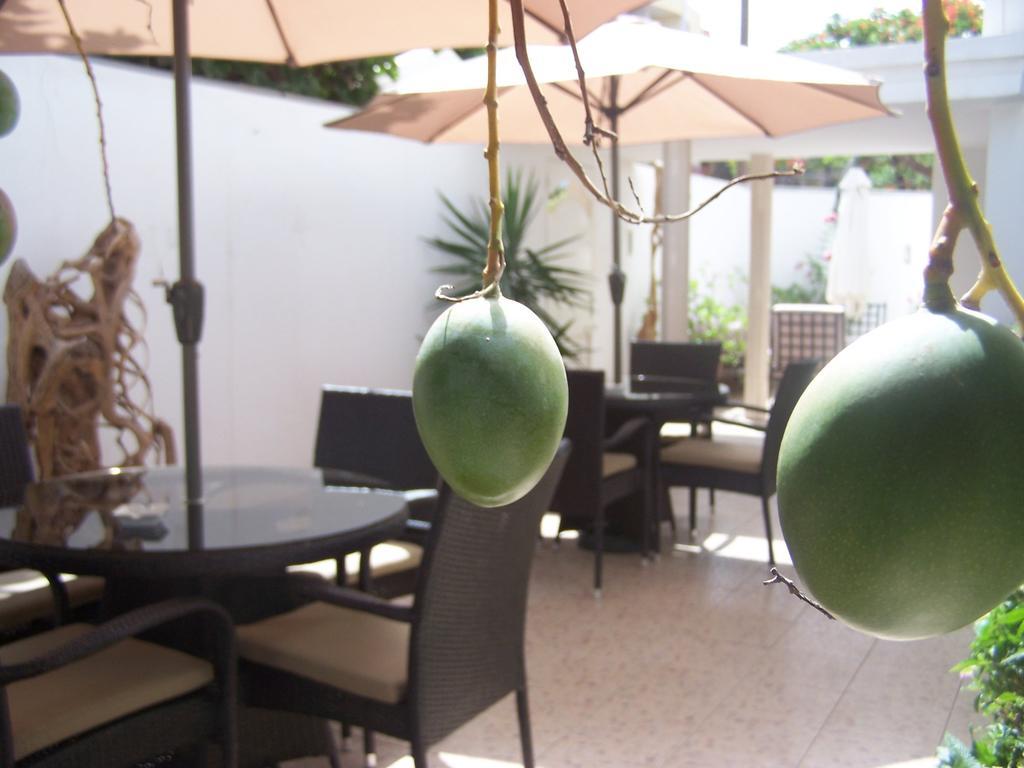 Villa Mermoz Dakar Ngoại thất bức ảnh